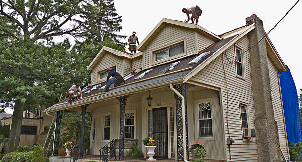 Best Roof Repair Services  in Fairmount, TN
